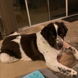 Meet your Posher, Celina